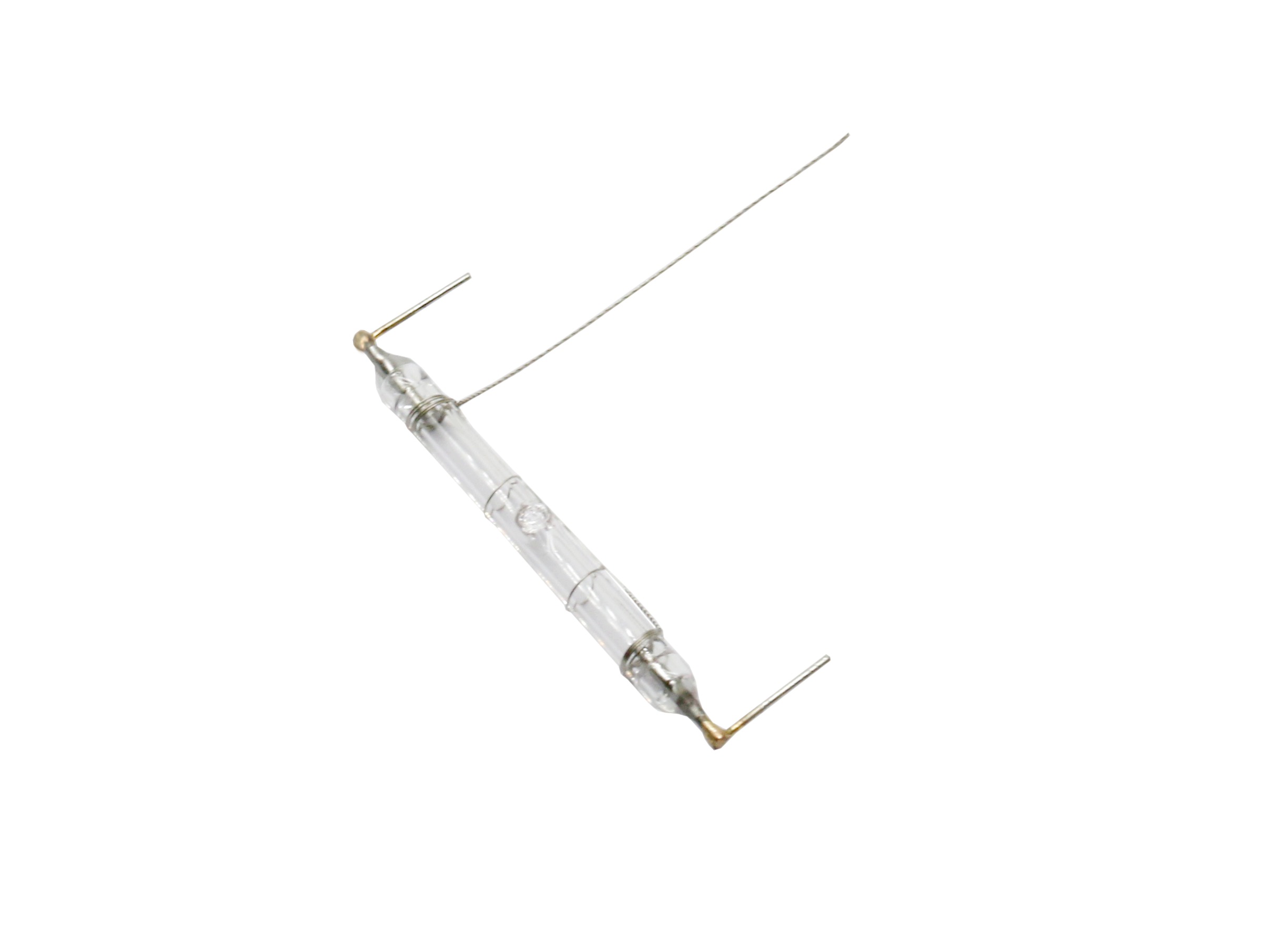 Pulse Xenon Lamp (3)