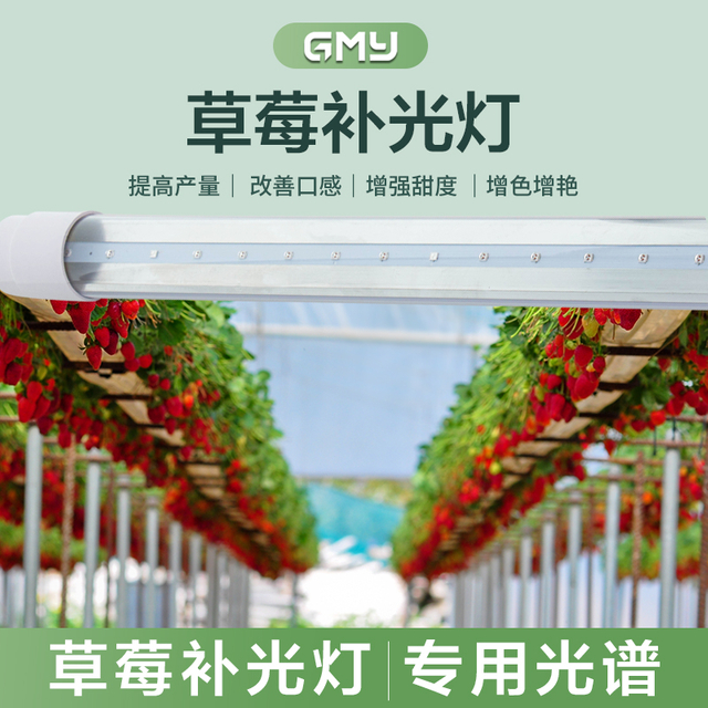 草莓补光灯