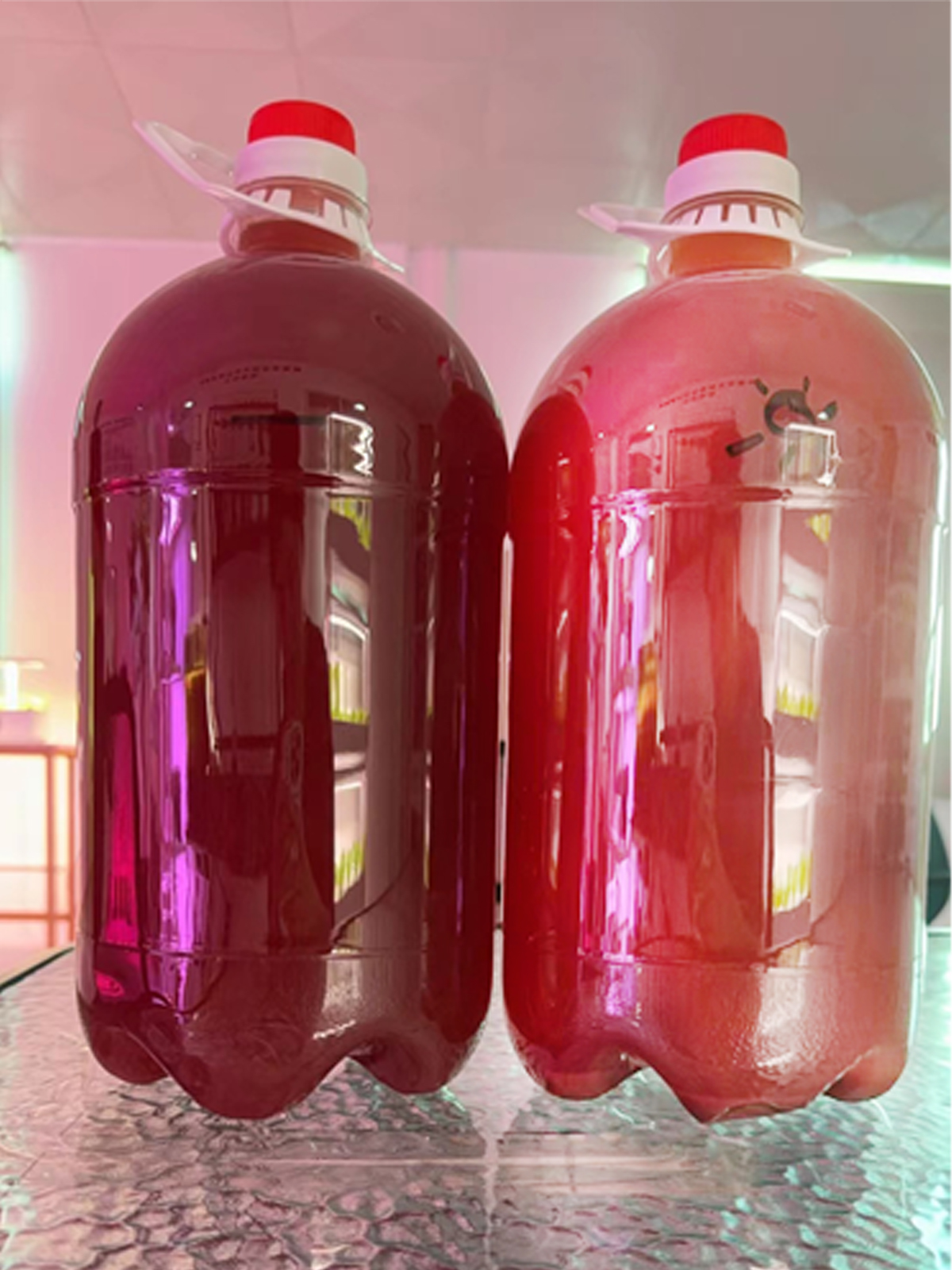 光合细菌培养灯与自然光的培养结果对比