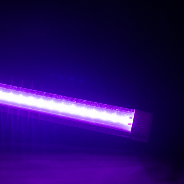 多肉植物补光灯