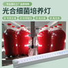 光合细菌培养灯